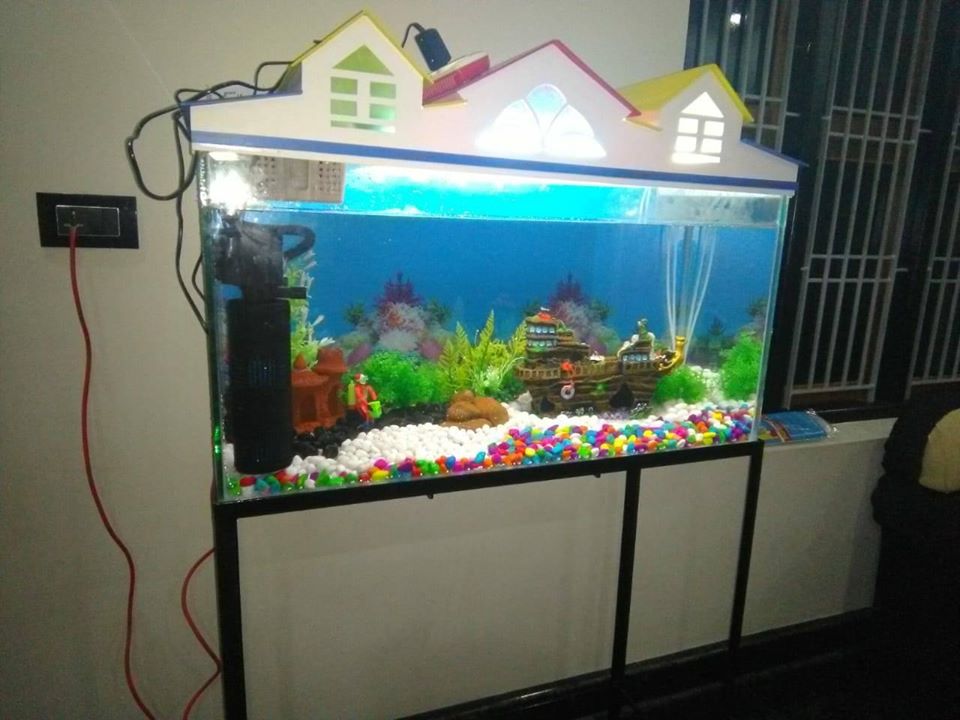 ANGEL LAKE-A Complete Aquarium Shop(PAPPINISSERI)